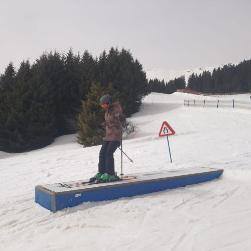 skitag