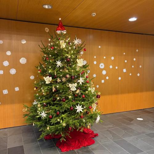 Weihnachtsglanz im Schulhaus
