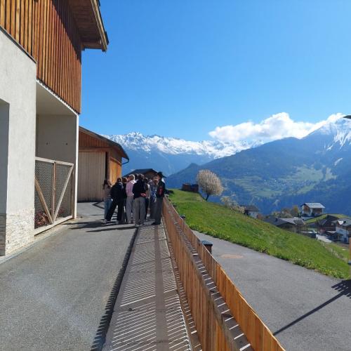 Exkursion zum Bauernhof