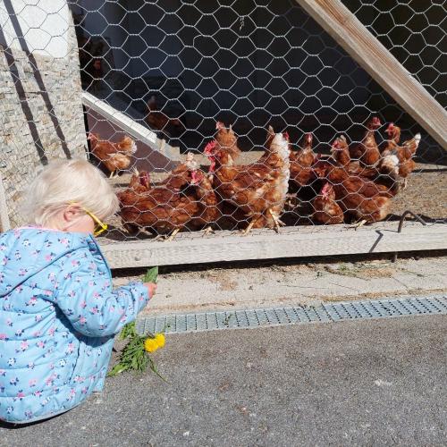 Exkursion zum Bauernhof