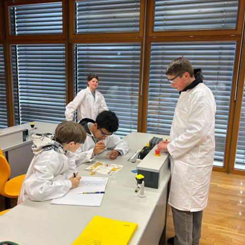 Chemie5