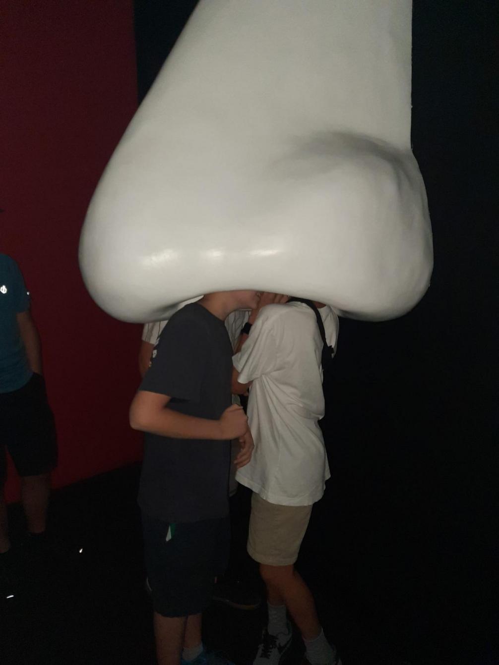 4. Klasse Haus steht Kopf