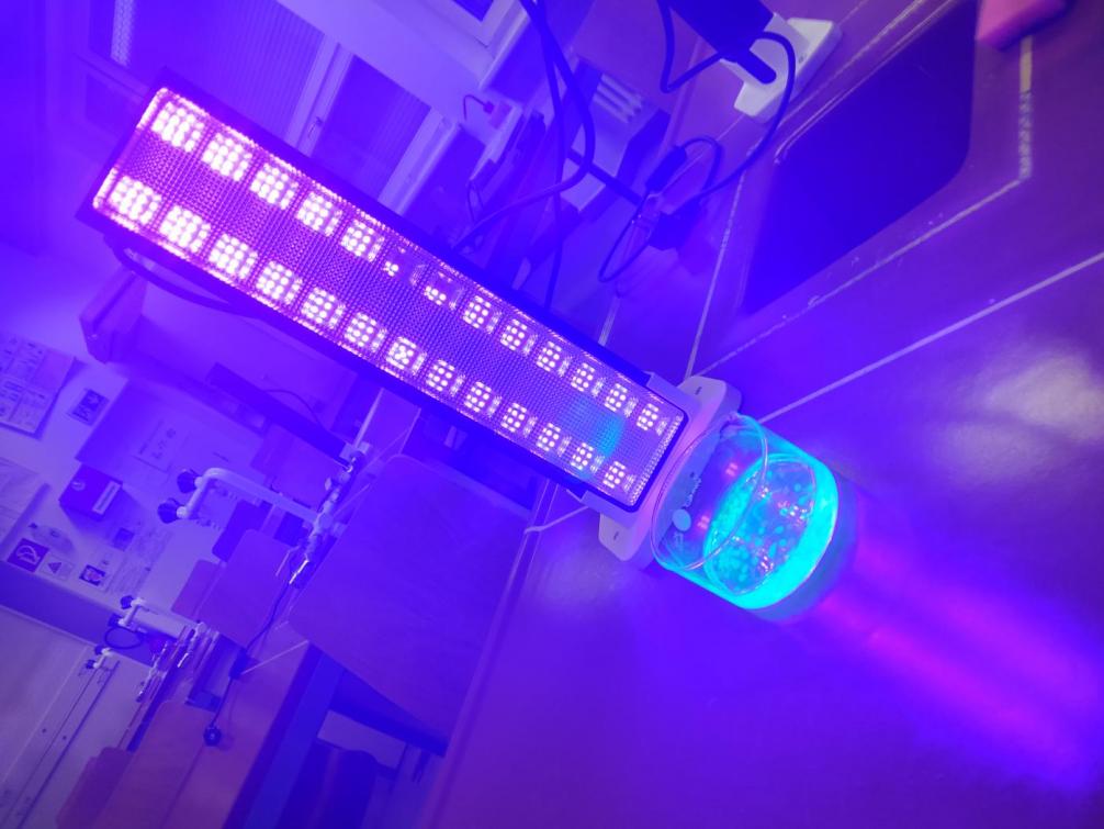 MINT-Lab 2025 (Klasse 2)