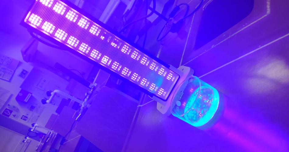 MINT-Lab 2025 (Klasse 2)